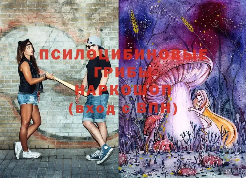 Псилоцибиновые грибы Magic Shrooms  Бокситогорск 